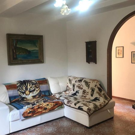 Ferienwohnung Casa Di Nella Campiglia Marittima Exterior foto